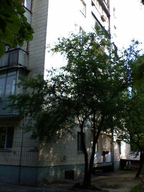 Киев, Александра Пироговского ул., 8