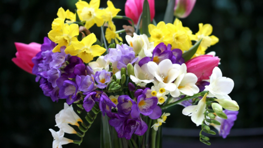 Как сохранить свежий букет из весенних цветов: советы