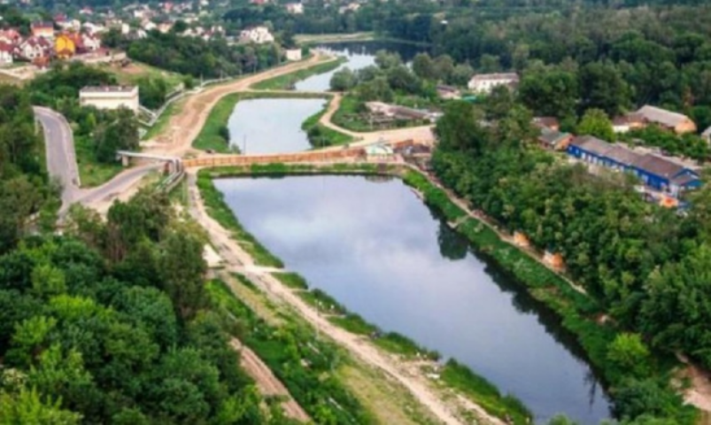 Киевский горсовет принял на рассмотрение петицию об устранении экологической катастрофы на Совских прудах