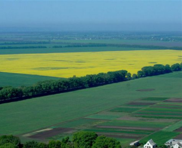 Будет ли открыт рынок земли в Украине