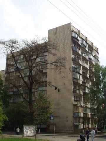 Киев, Семьи Идзиковских ул., 17