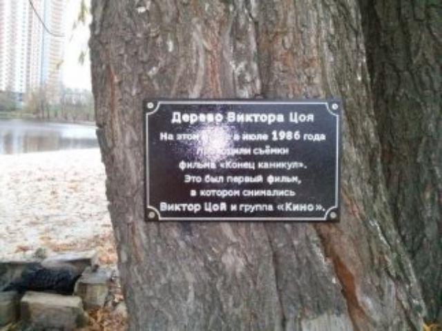  Парк имени Виктора Цоя в Киеве
