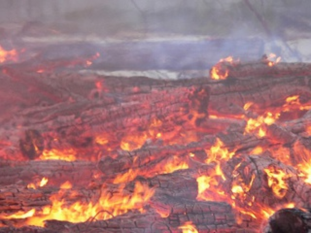 Пожары под Киевом