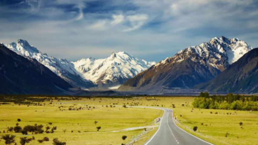 Бизнес за рубежом: Как открыть компанию в Новой Зеландии