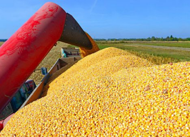 Увеличился экспорт украинского продовольствия в ЕС