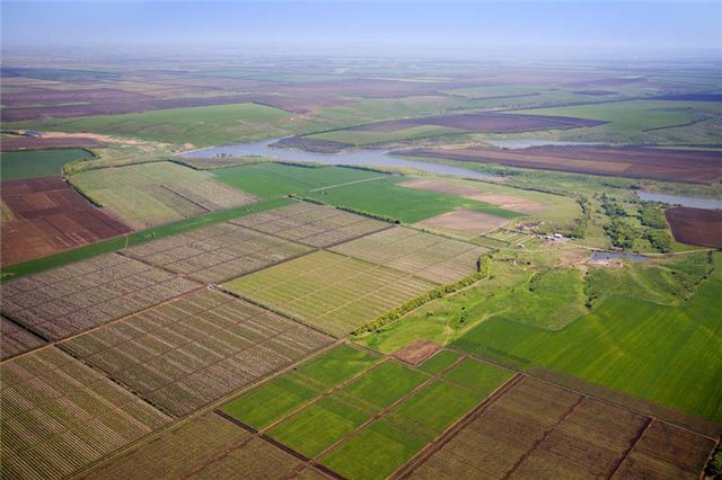 Совмин Крыма добивается трехлетнего запрета на продажу сельхозземель
