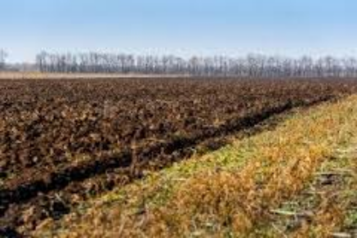Госземагентство предлагает запретить продажу сельхозземель 