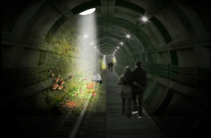 Лондонское метро превратят в ферму по выращиванию грибов. Фото