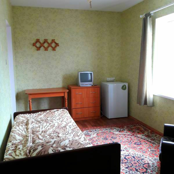 1-комнатная квартира посуточно 16 м², Ленина ул.