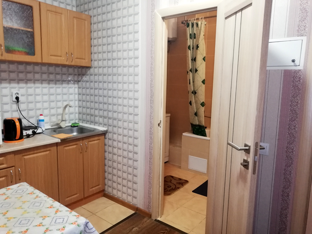 1-комнатная квартира посуточно 28 м², Семьи Стешенко ул., 9