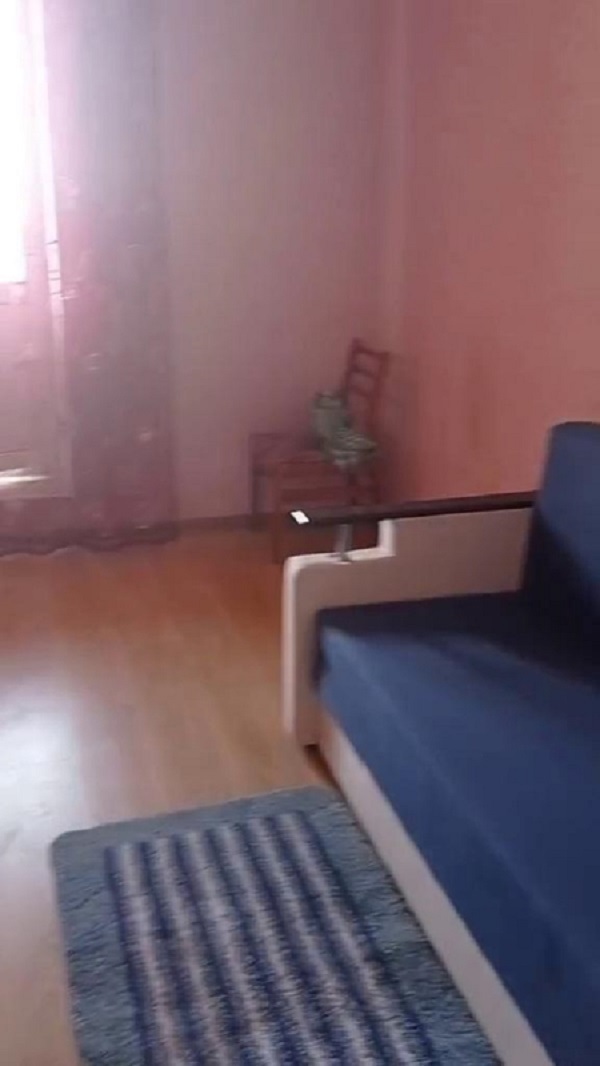 Аренда 2-комнатной квартиры 65 м², Семена Палия ул.