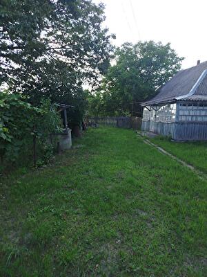 с. Нежиловичи