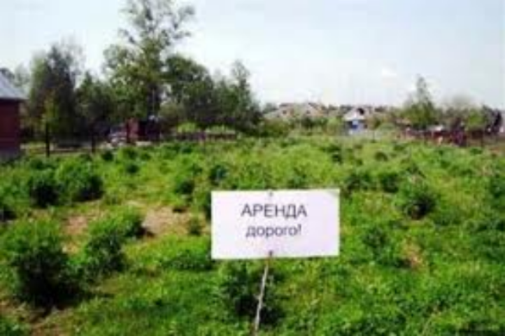 кто может сдавать в аренду землю кажется, испытывает
