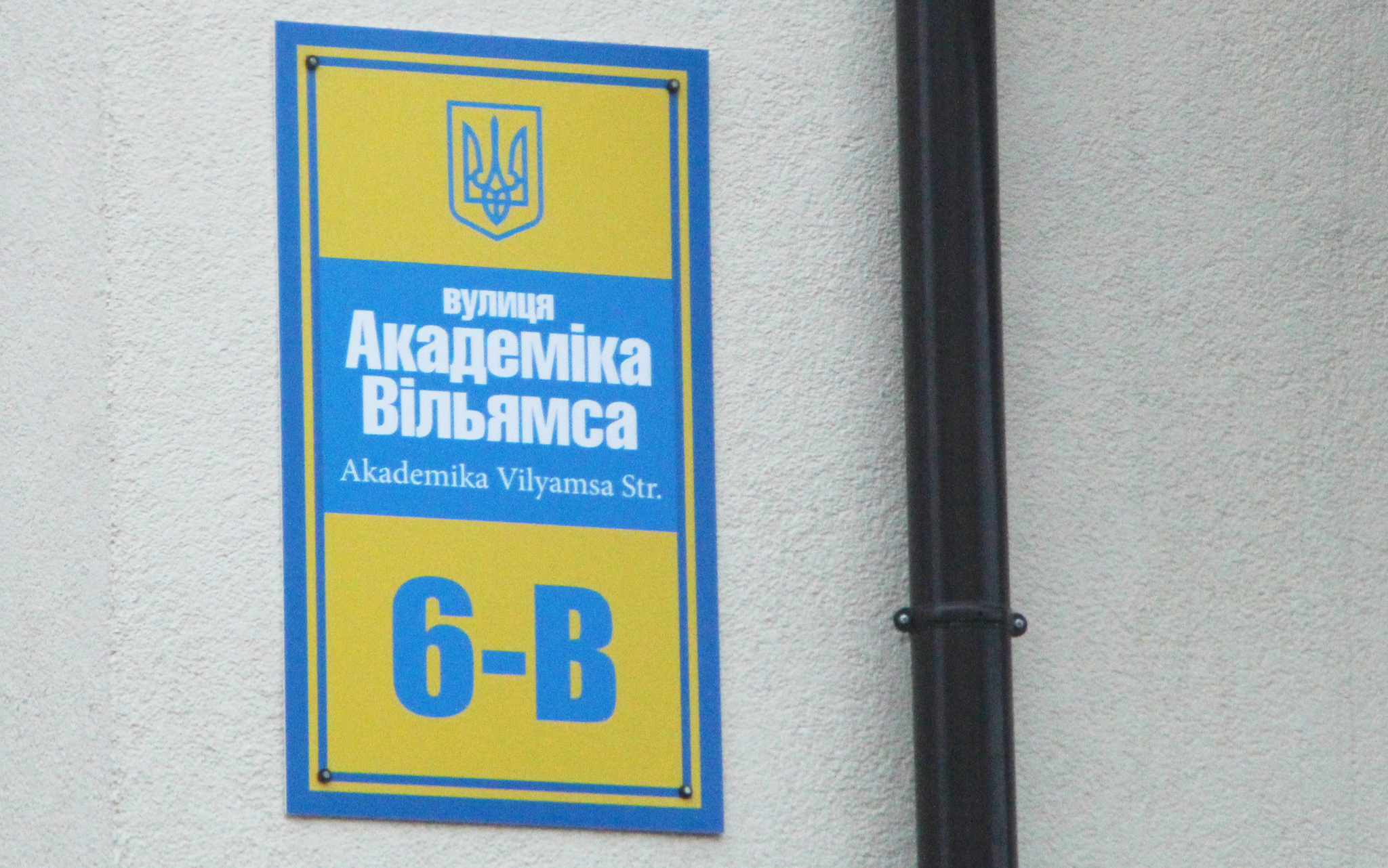 Київ, Вільямса Акалеміка вул., 6В