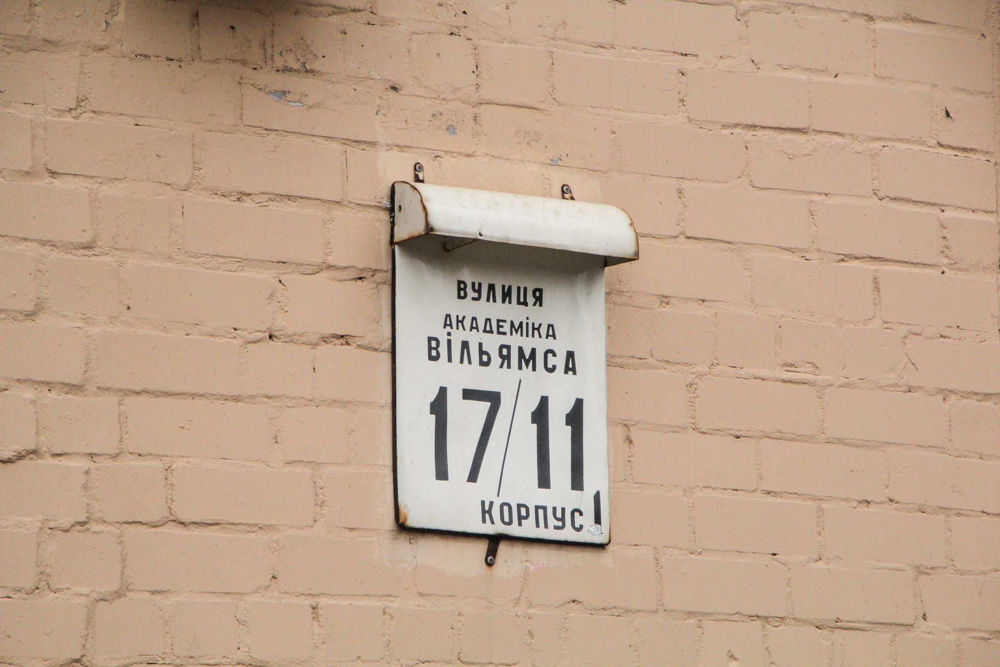 Київ, Акалеміка Вільямса вул., 17/11