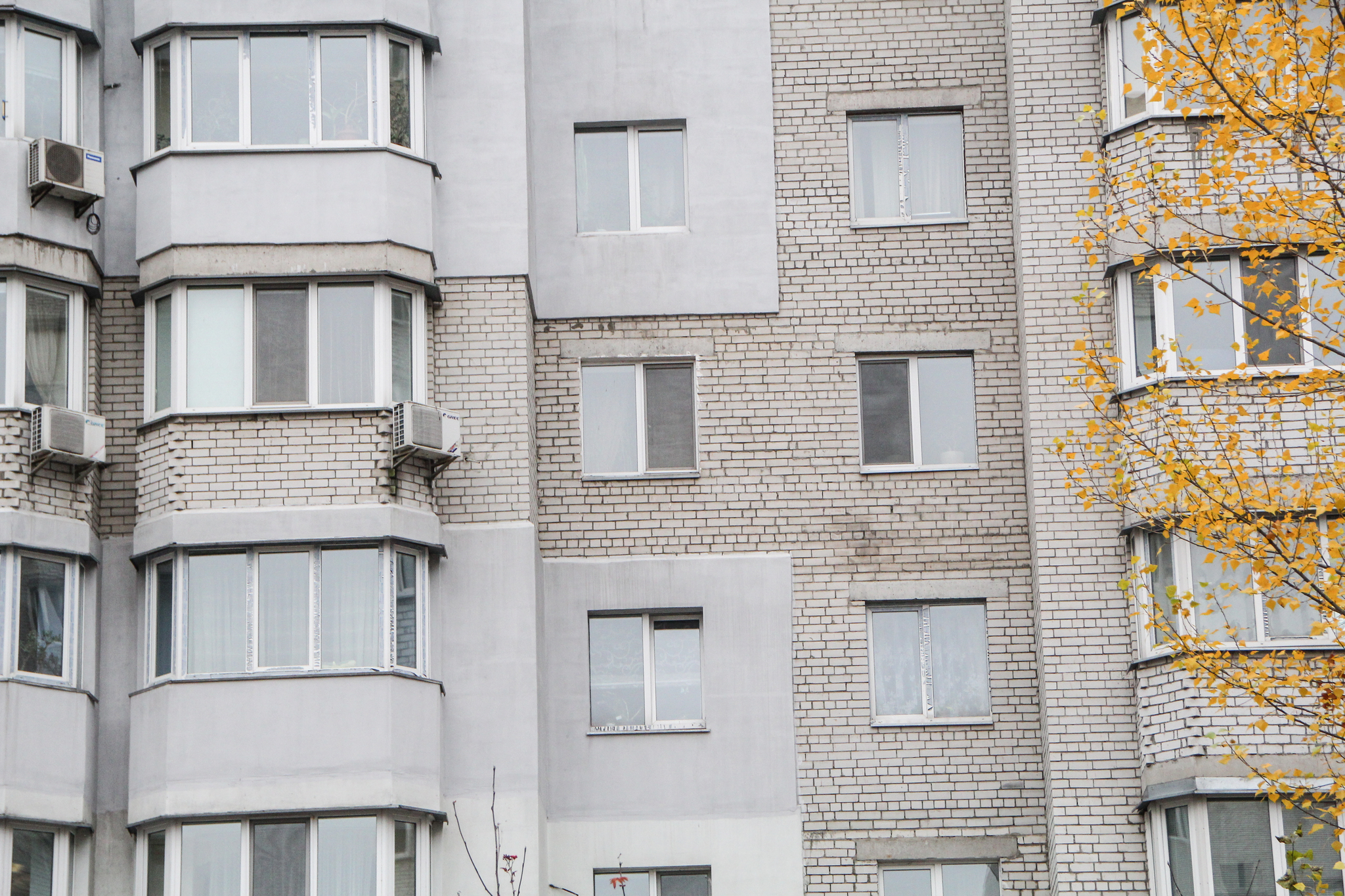 Київ, Акалеміка Вільямса вул., 15 К3