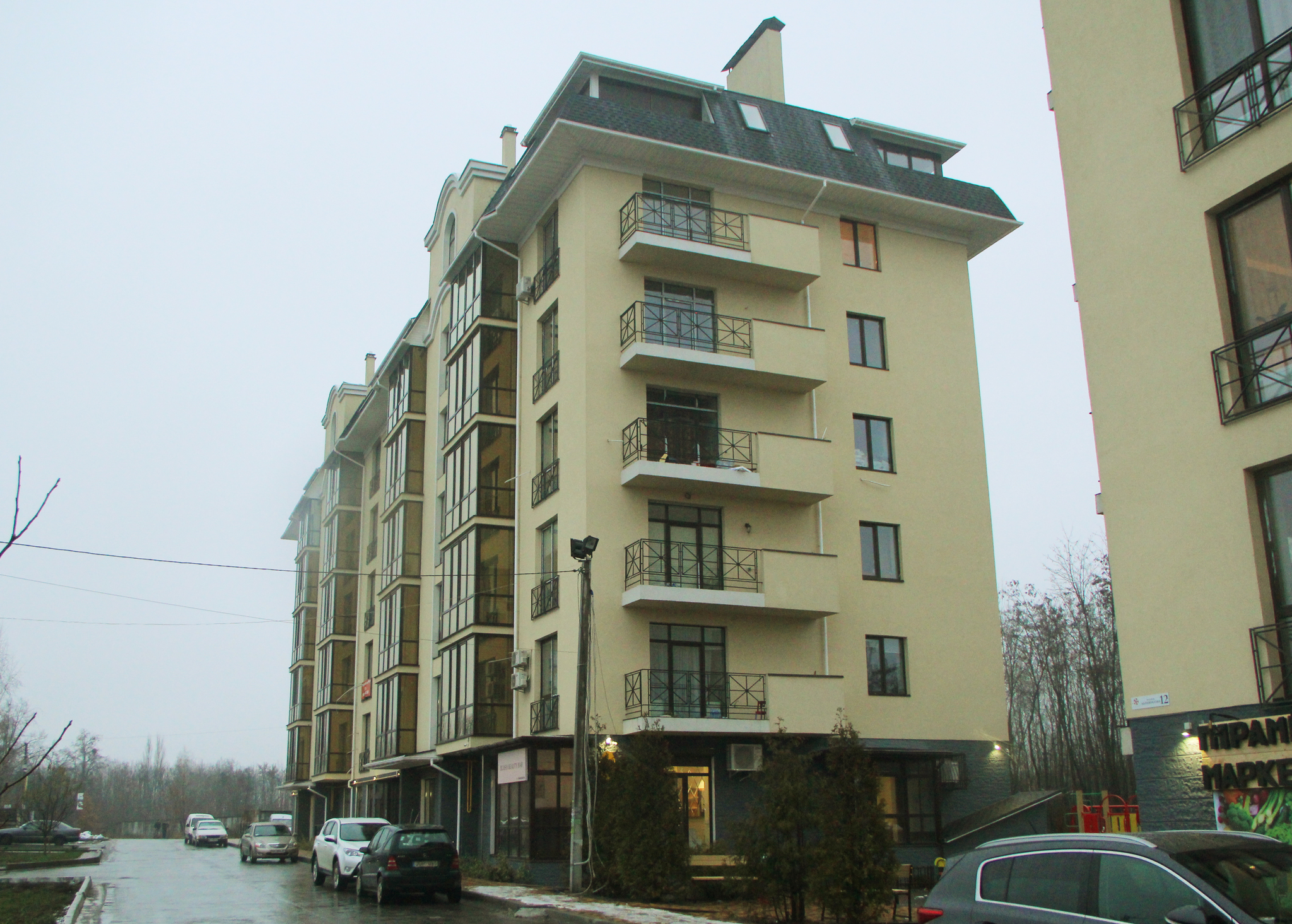 Київська обл., Києво-Святошинський район, с. Гатне, Абрикосовая вул., 14