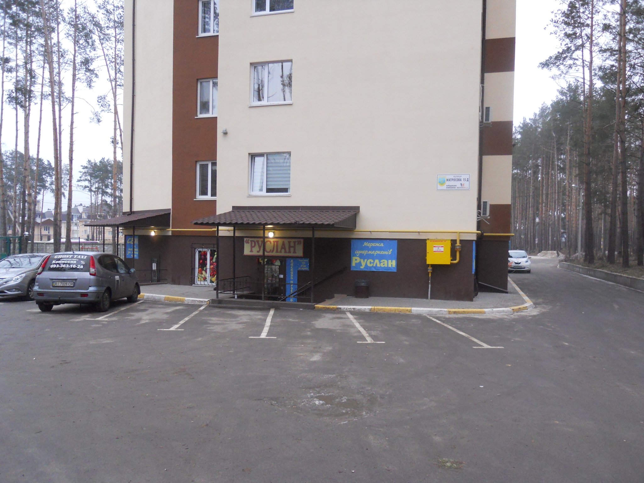 Київська обл., Бучанський район, м. Ірпінь, Матросова вул., 15Д