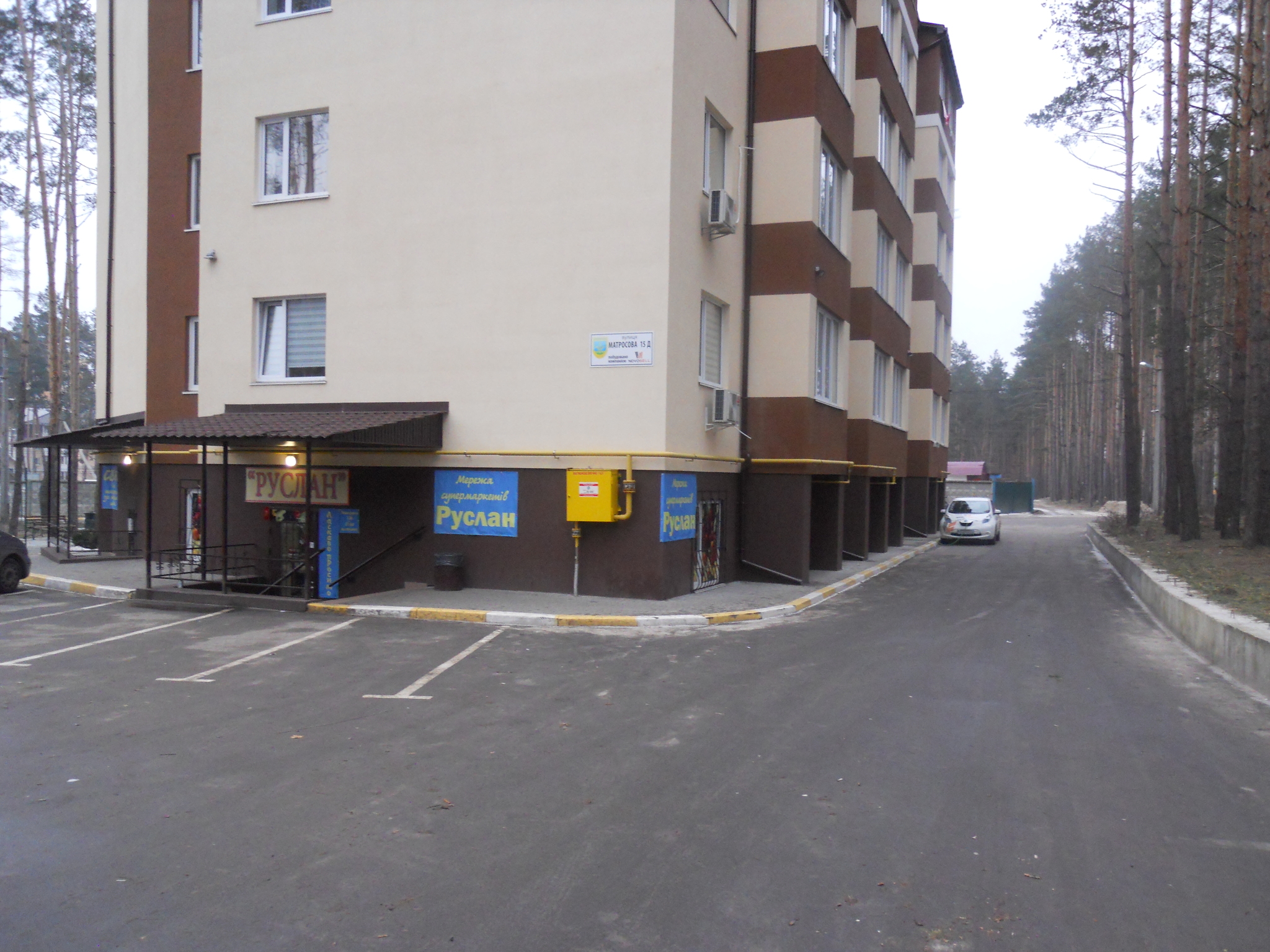 Київська обл., Бучанський район, м. Ірпінь, Матросова вул., 15Д