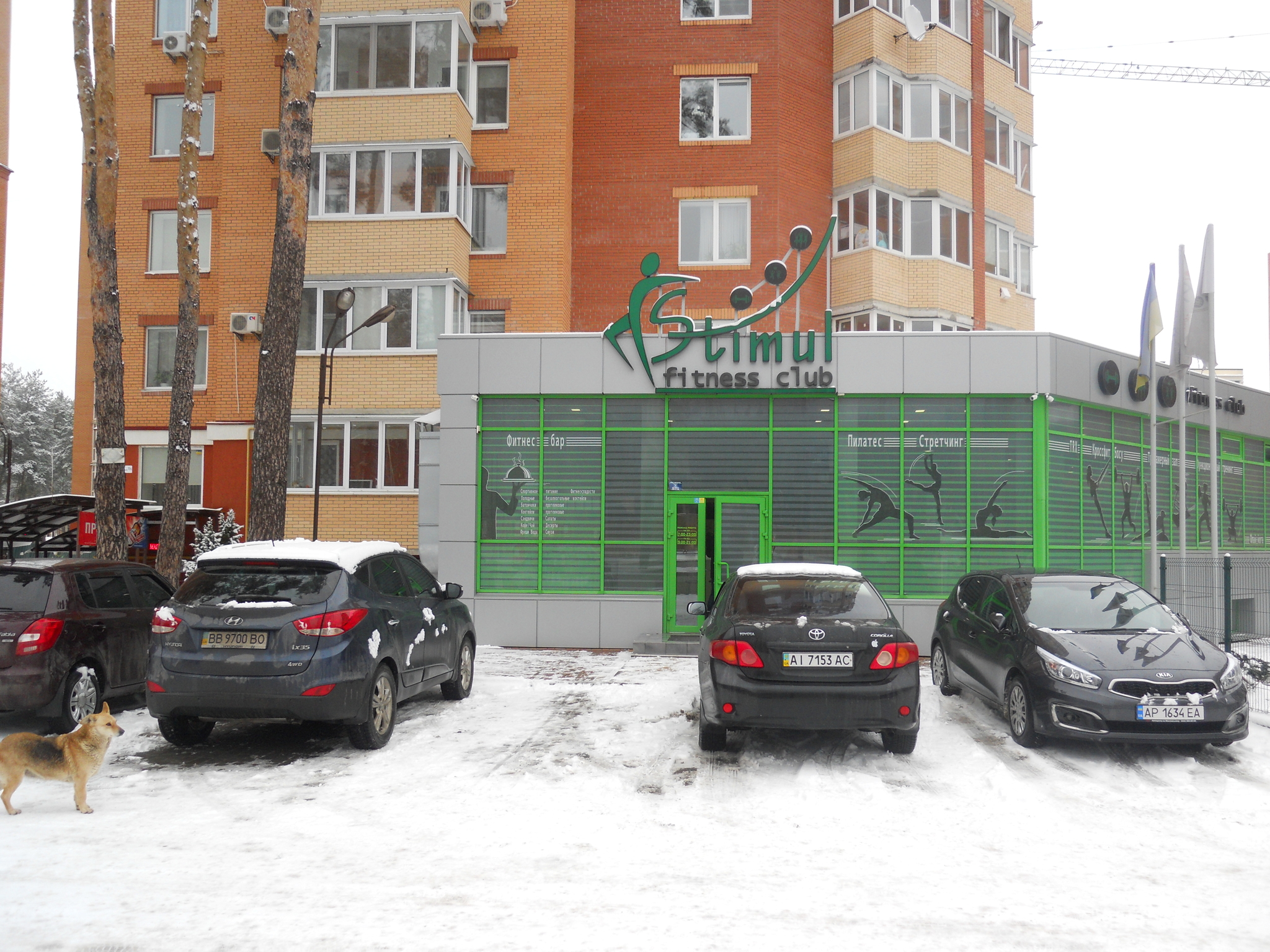 Київська обл., Бучанський район, м. Ірпінь, ЖК Київський, 2/1, К1