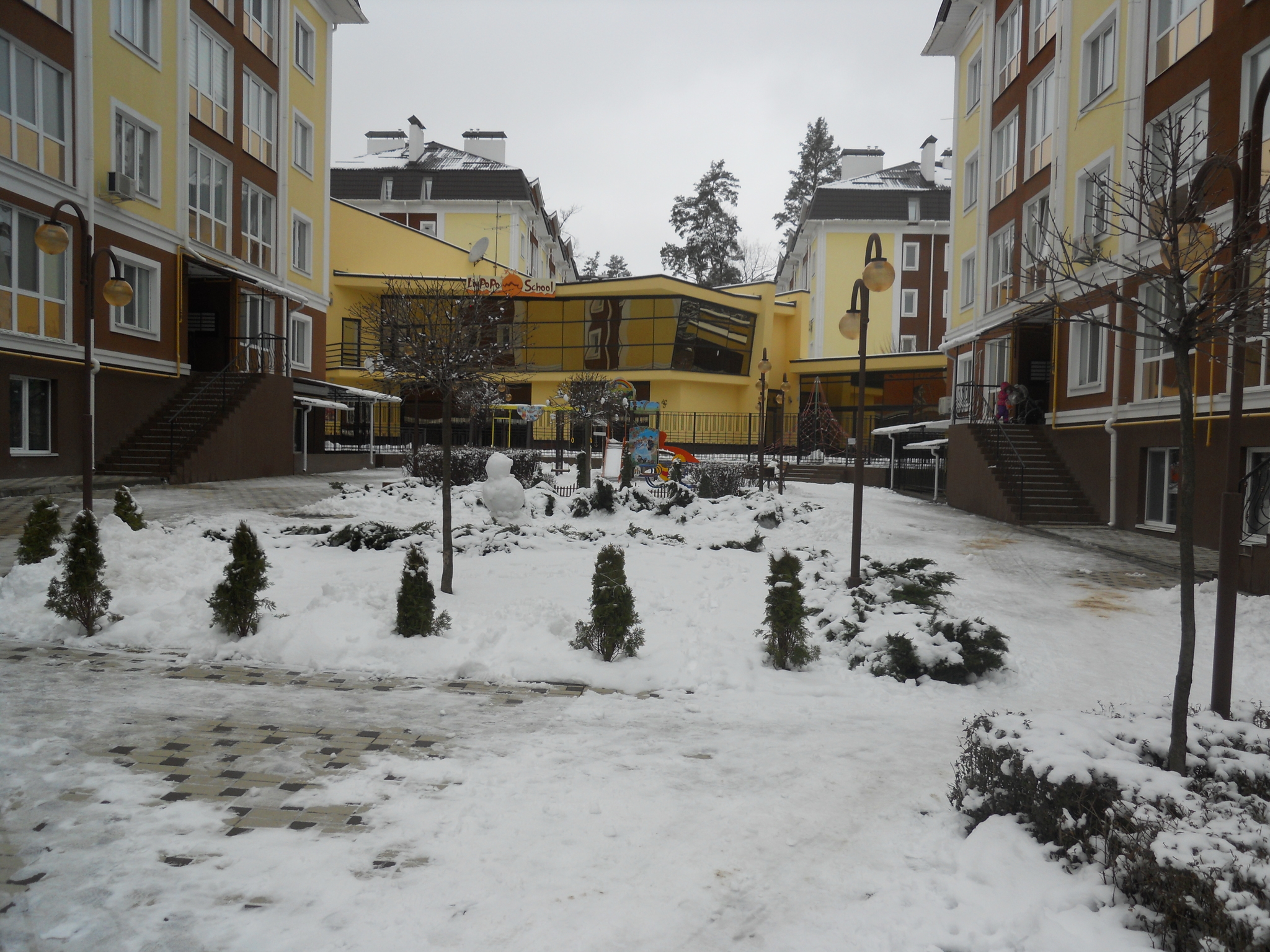 Киевская обл., Бучанский район, г. Ирпень, Пушкинская ул., 62Д