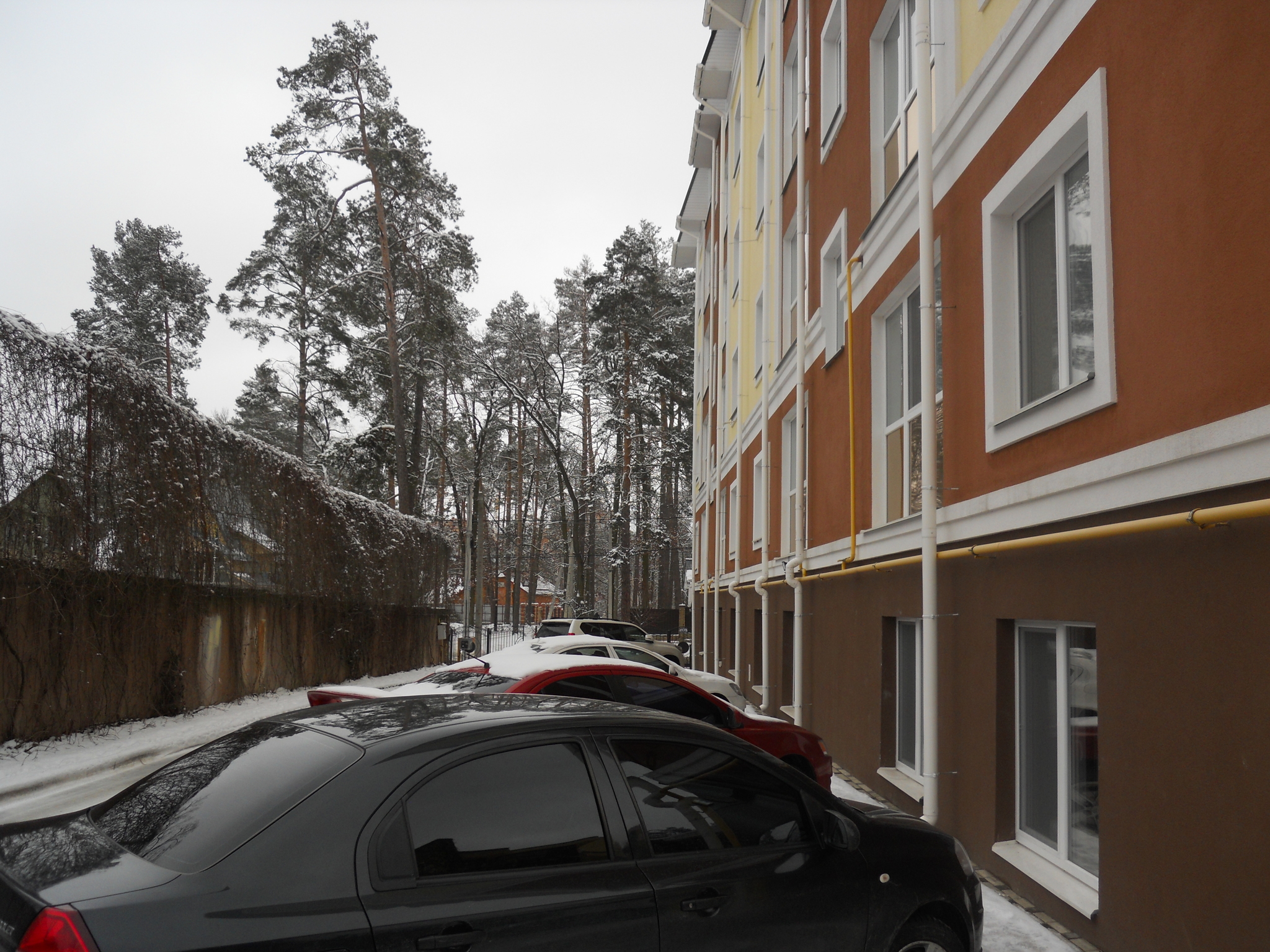 Киевская обл., Бучанский район, г. Ирпень, Пушкинская ул., 62Д