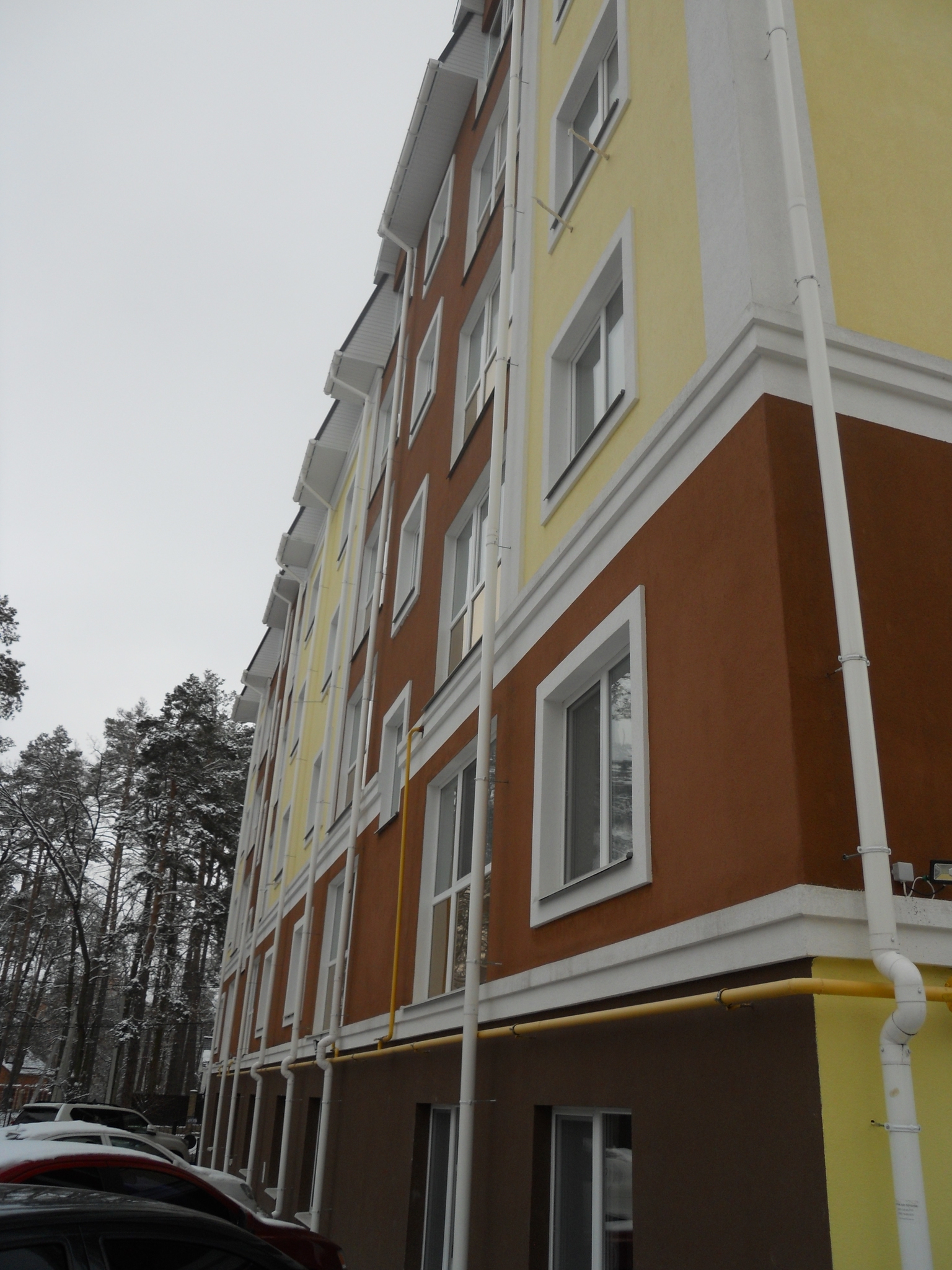 Киевская обл., Бучанский район, г. Ирпень, Пушкинская ул., 62Д