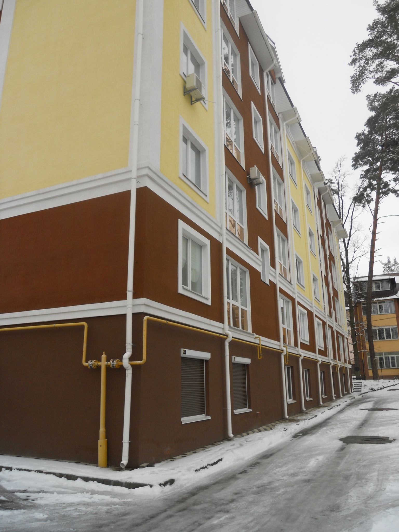 Киевская обл., Бучанский район, г. Ирпень, Пушкинская ул., 62Г