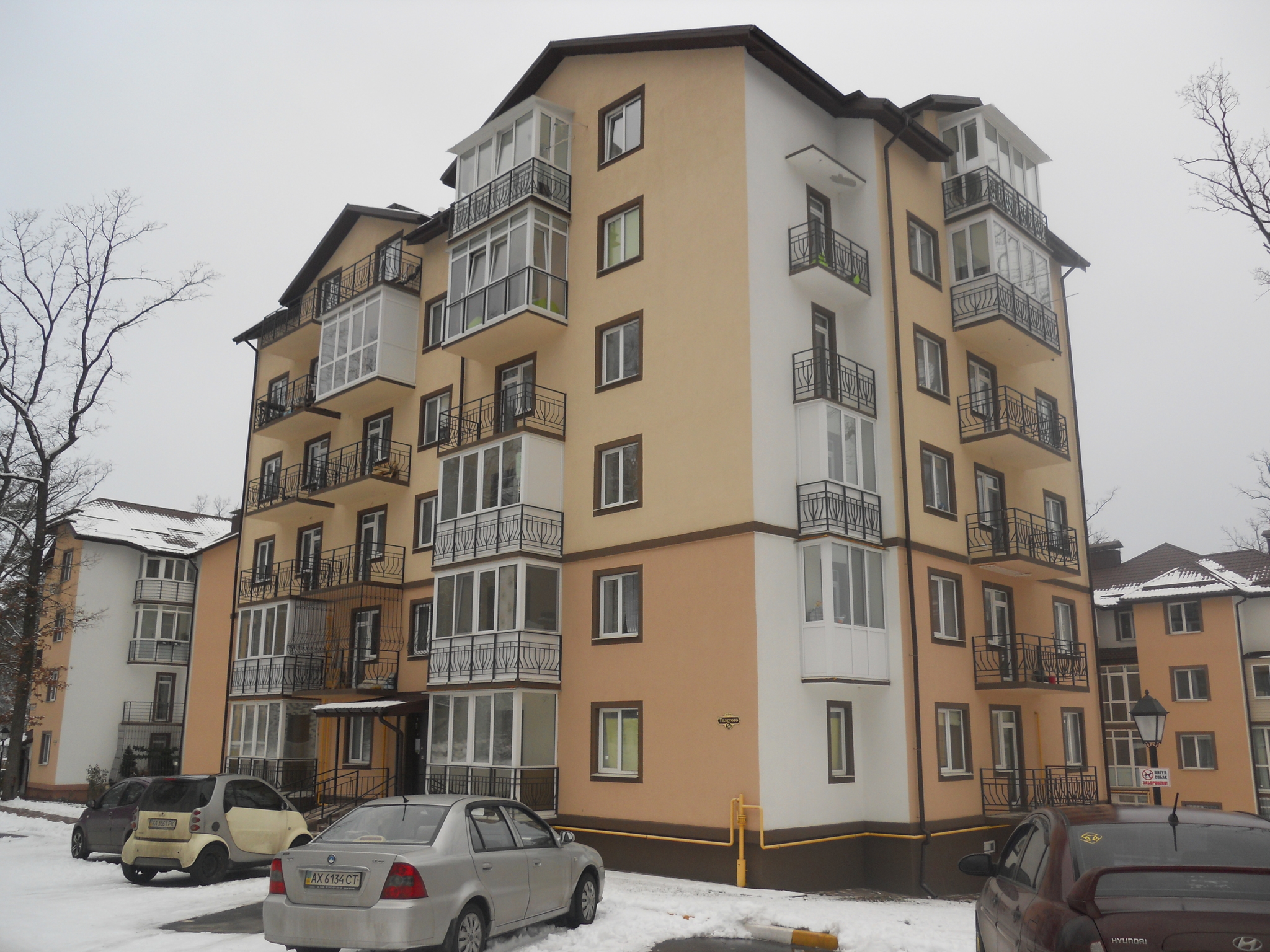 Киевская обл., Бучанский район, г. Ирпень, Толстого ул., 54