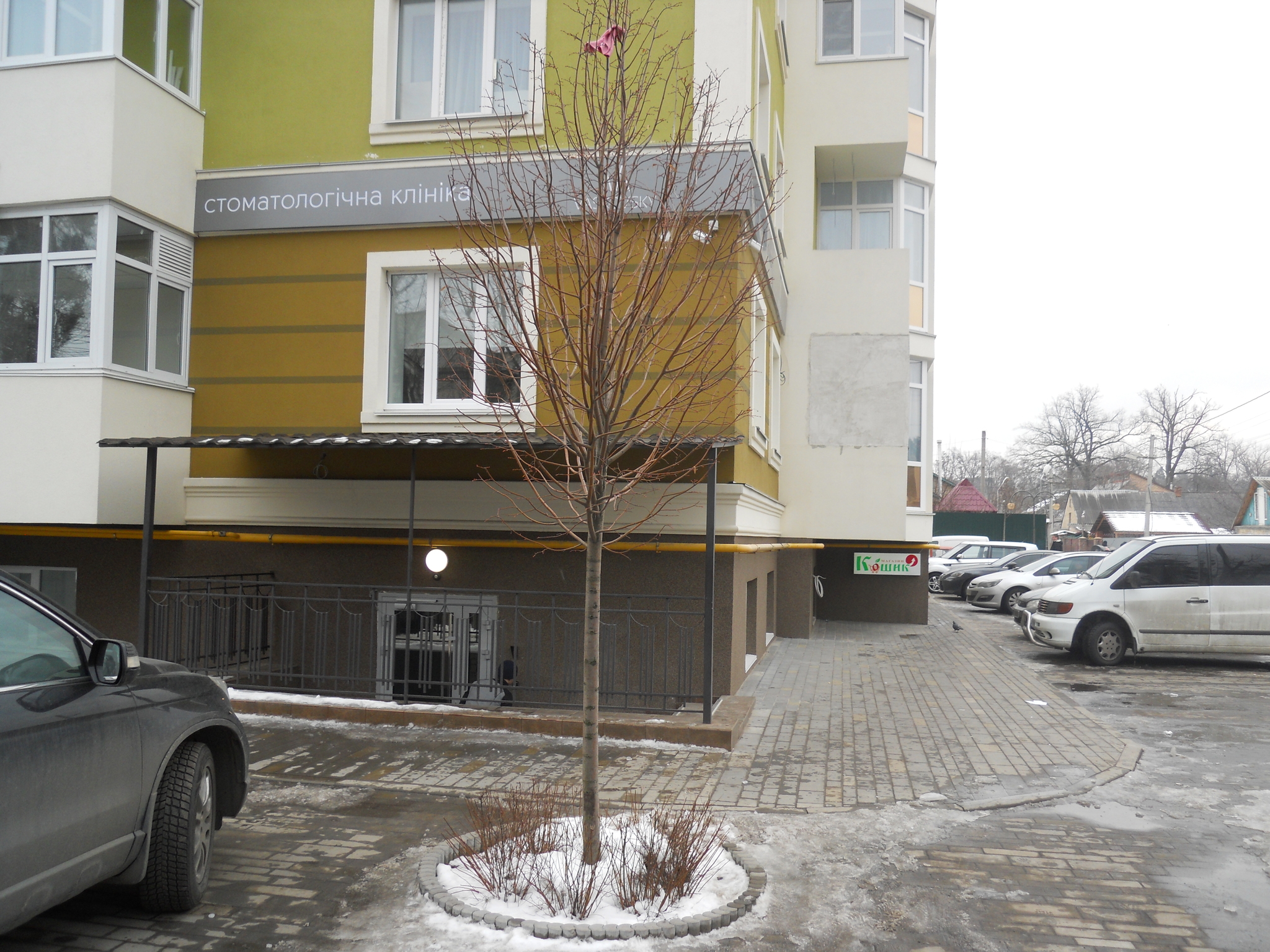 Киевская обл., Бучанский район, г. Ирпень, Тургеневская ул., 25В