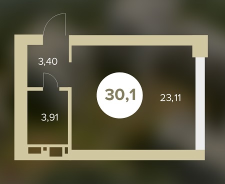 1-кімнатна 30.19 м² в ЖК Chehov Парк Квартал від 13 000 грн/м², м. Ірпінь