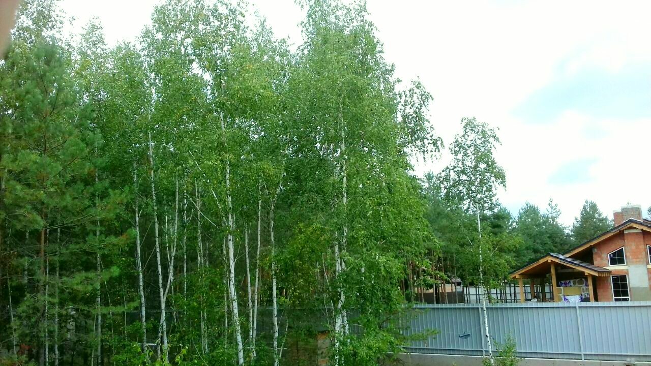 Ділянка під будівництво 50 соток в КМ Green Wood club від забудовника, смт Козин