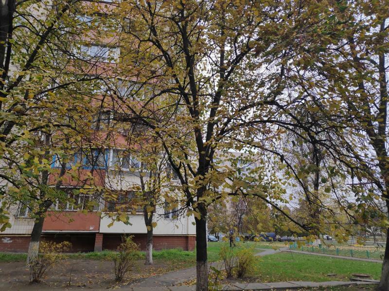 Київ, Симиренка вул., 22