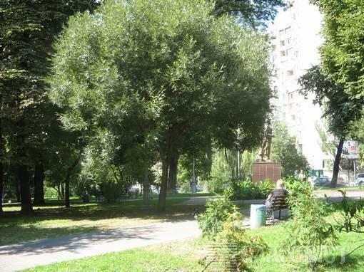 Киев, Чеховский пер., 9