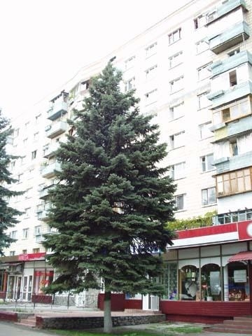 Оренда 2-кімнатної квартири 45 м², Русанівська наб., 4