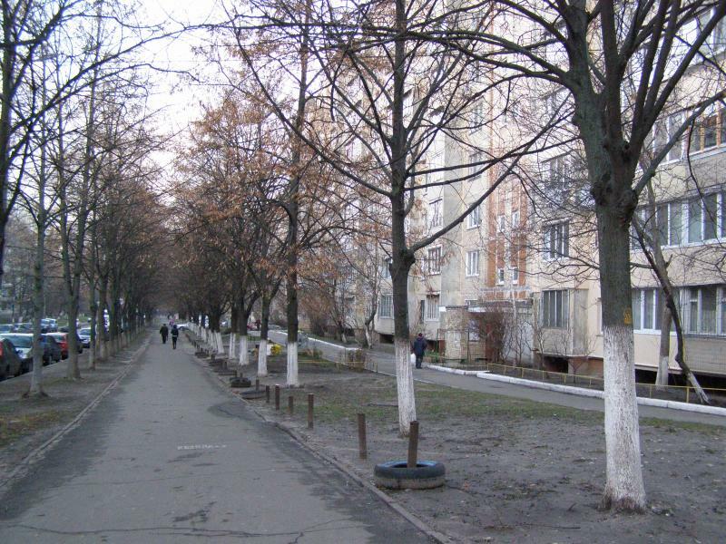 Киев, Академика Киприанова ул., 2