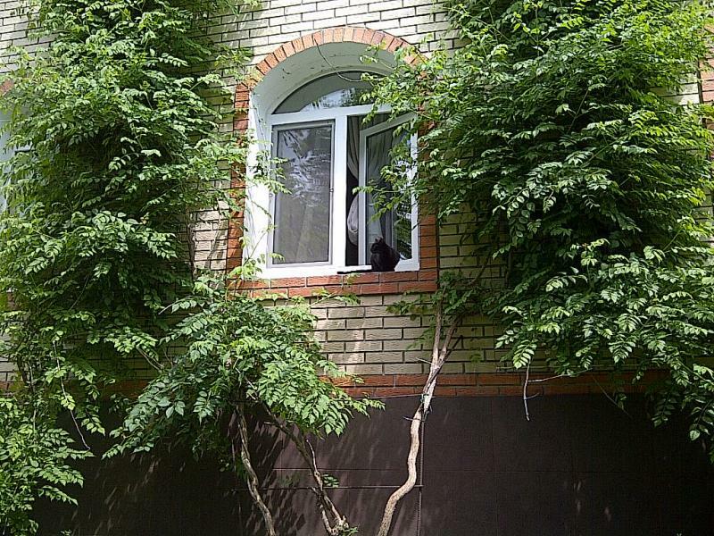 Киевская обл., Васильковский район, с. Устимовка, Привокзальная ул., 7