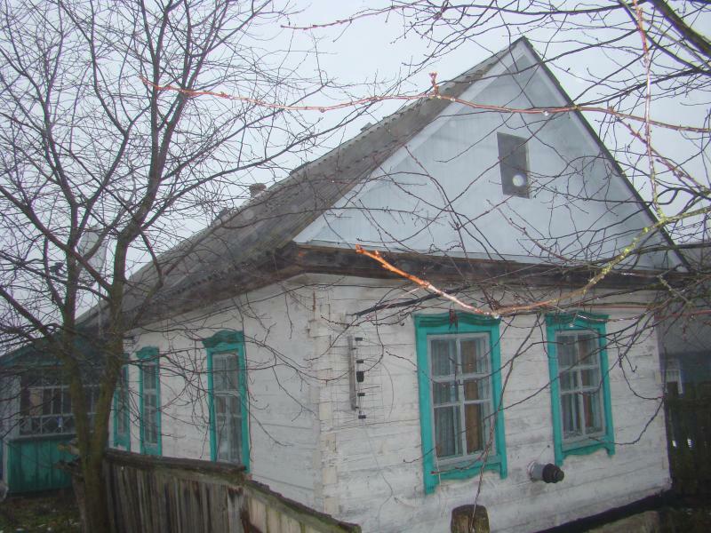 Житомирская обл., Радомышльский район, с. Вышевичи, Механизаторов ул., 50