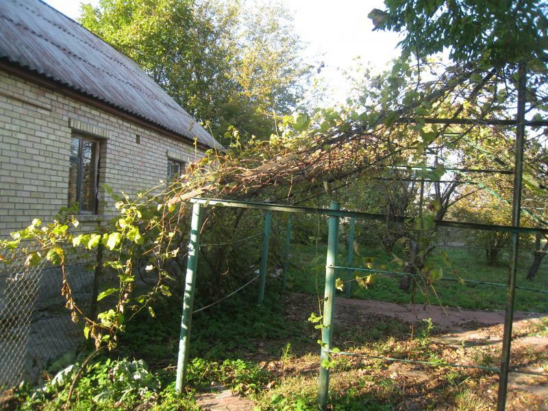 Киевская обл., Броварской район, с. Гоголев, Ленина ул., 30