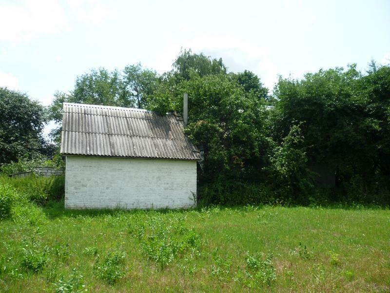 Киевская обл., Броварской район, с. Заря, Гагарина ул., 9