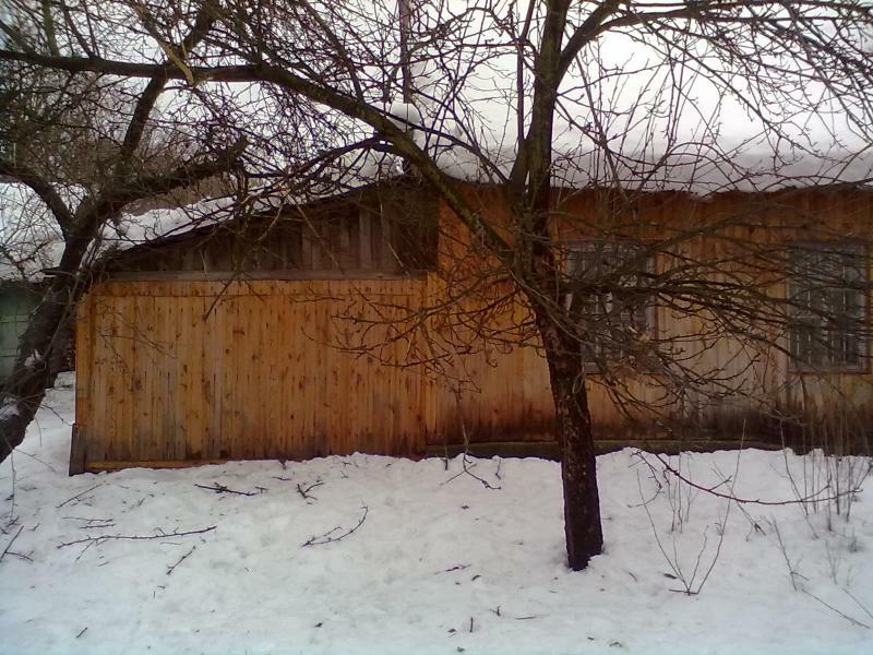 Киевская обл., Васильковский район, с. Багрин, Пушкина ул., 11/1