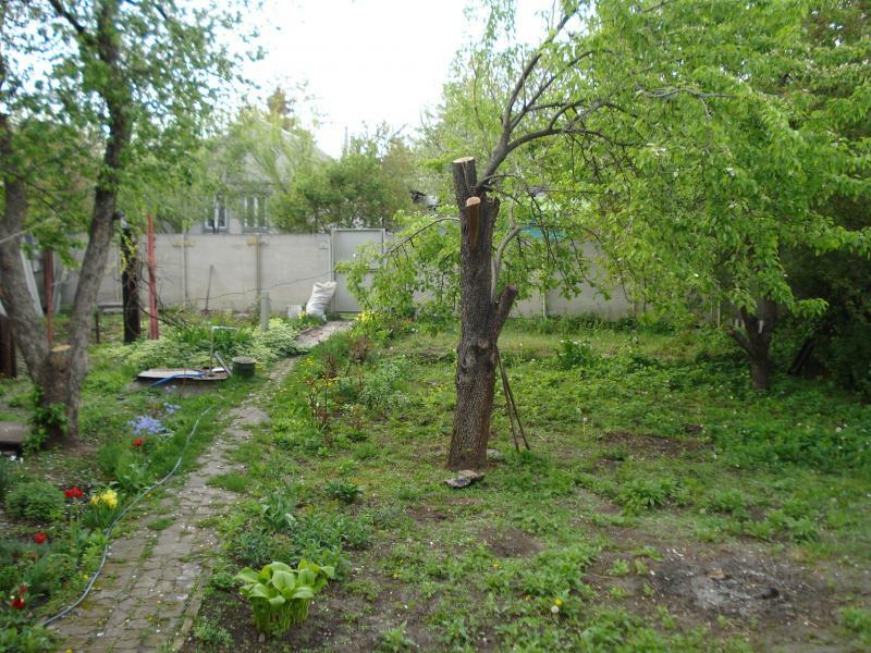 Днепр, Выборная ул., 17