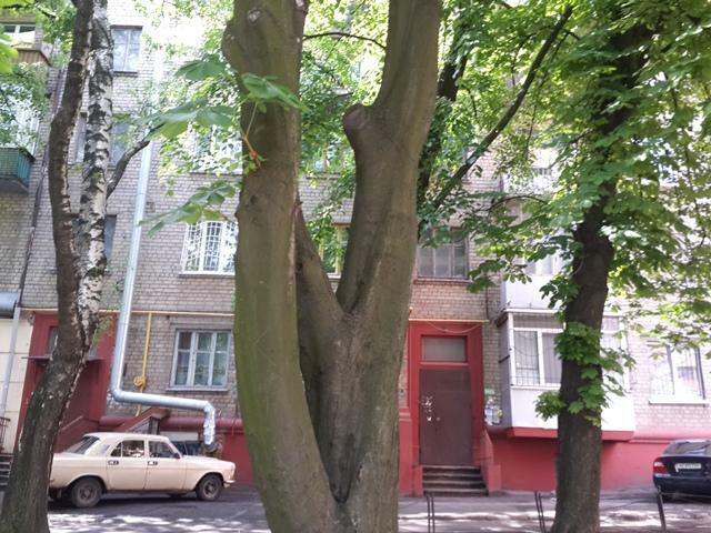 Продажа 3-комнатной квартиры 119 м², Владимира Вернадского ул., 35