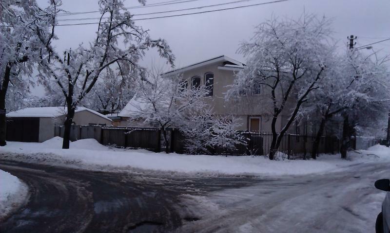 Київ, Новопольова вул., 42/81