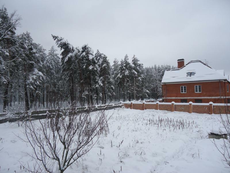 Київська обл., Києво-Святошинський район, с. Горенка, Мічуріна вул., 87