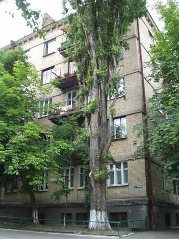 Киев, Маричанская ул., 2/90