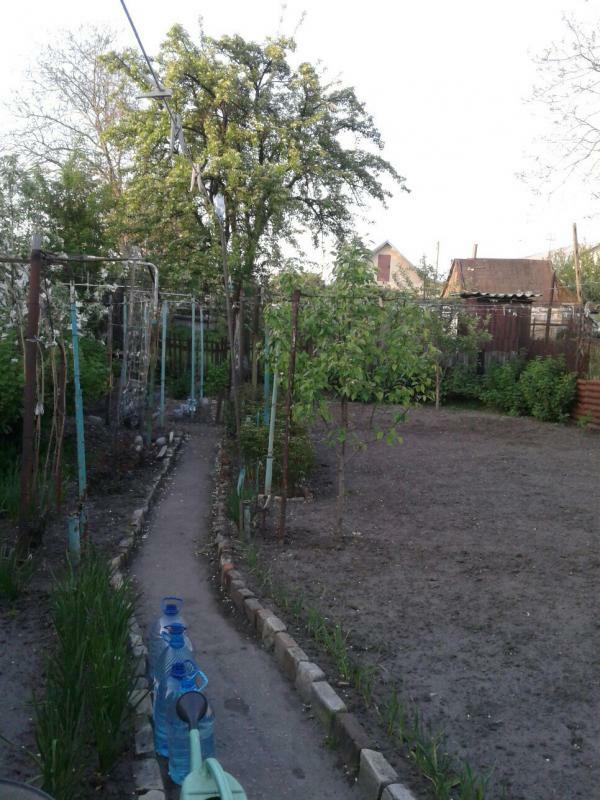 Днепр, Ялтинская ул., 39
