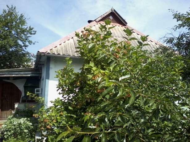 Київська обл., Баришівський район, м. Березань, Космонавтов вул., 20