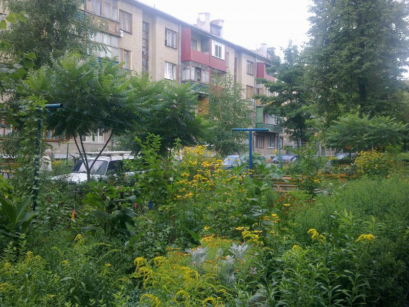 Харьков, Мира ул., 8