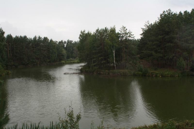 Киевская обл., Васильковский район, с. Плесецкое, Щорса ул., 36